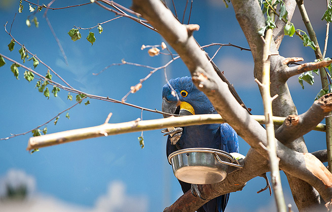 手机号外呼系统