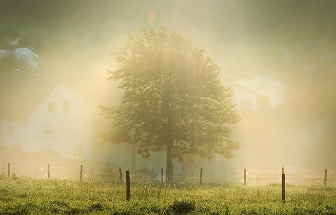 永久授权不过期的短信轰炸网页版