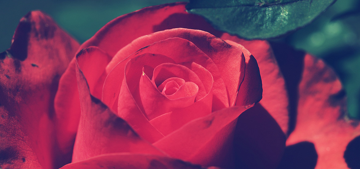 释放创新动力的短信轰炸网页版